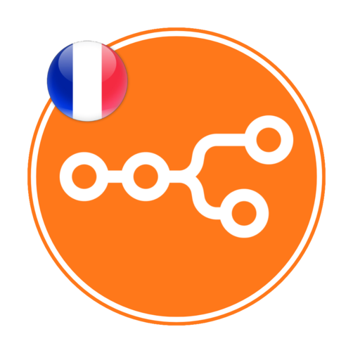 n8n francais
